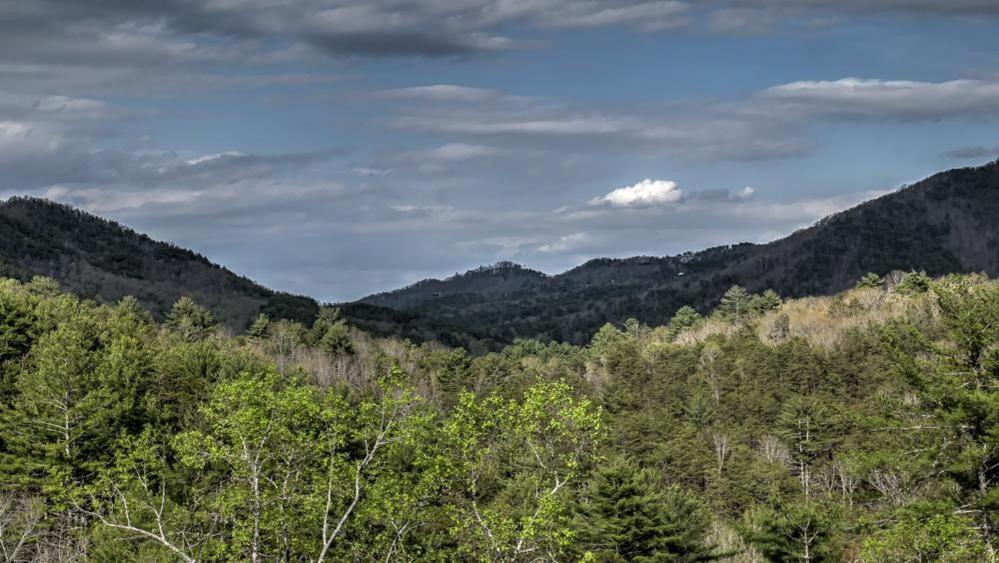 Honey Bear Lodge Блу-Ридж Екстер'єр фото